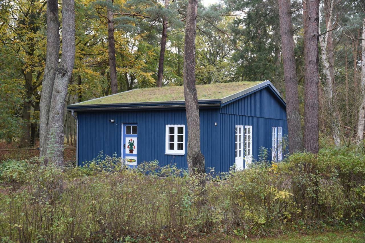 chalet Zingst Buitenkant foto