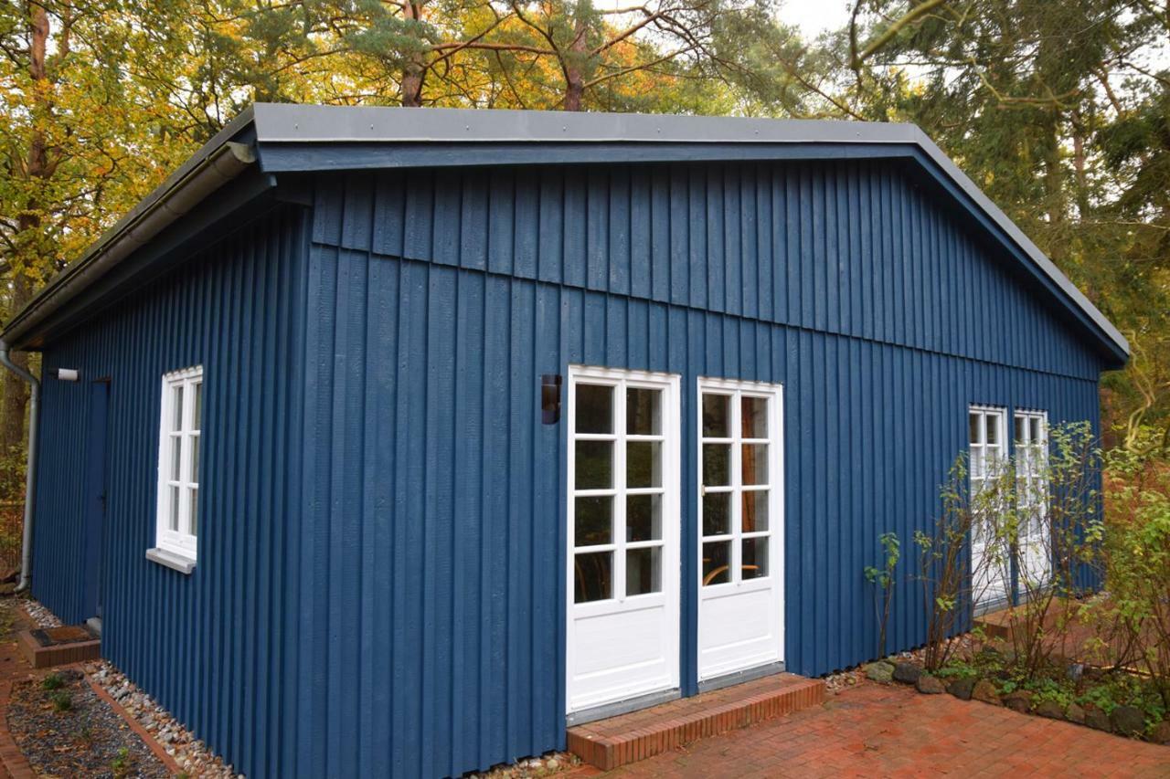 chalet Zingst Buitenkant foto