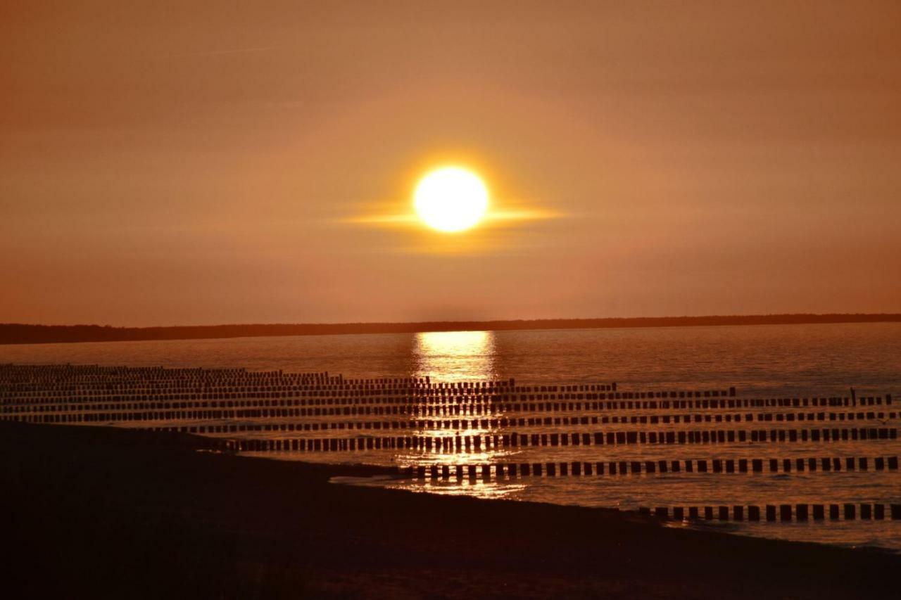 chalet Zingst Buitenkant foto