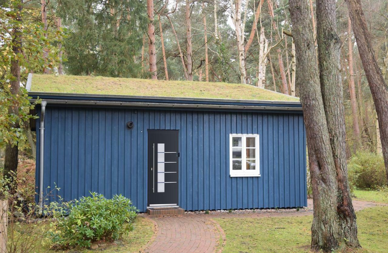 chalet Zingst Buitenkant foto