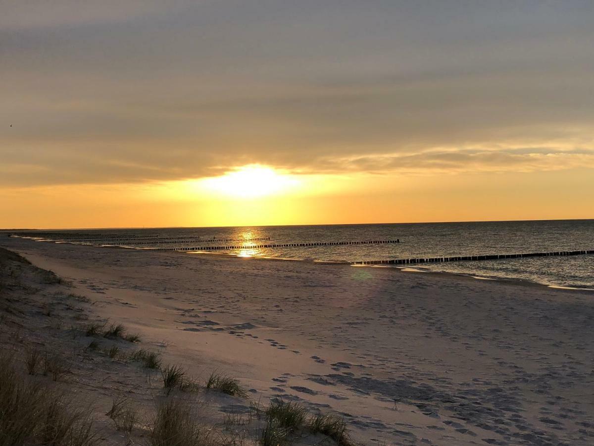 chalet Zingst Buitenkant foto